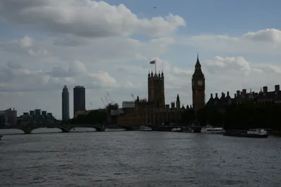 DSC_2791 (Large).JPG